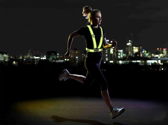 Adjustable reflective harness for a running bike - orangeeng