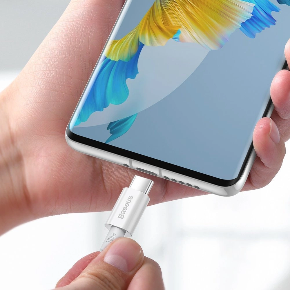 Baseus CATYS-C02 USB-C - USB-C PD QC FCP cable 100W 5A 2m - whiteeng