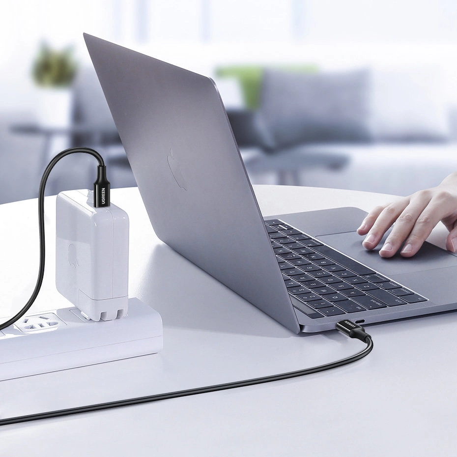Ugreen cable USB Type C (male) to Type C (male) cable 1m white (US300)eng