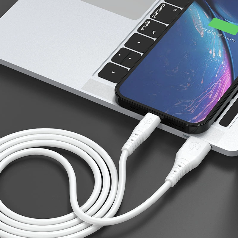 Dudao cable USB - USB Type C 6A cable 1 m white (TGL3T)eng
