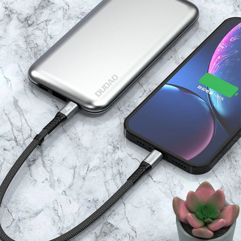 Dudao L10P Lightning - USB-C PD 20W cable 0.23m - blackeng