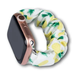 Fabric band for Apple Watch 38 / 40 / 41 mm strap bracelet rubber band - pineappleeng