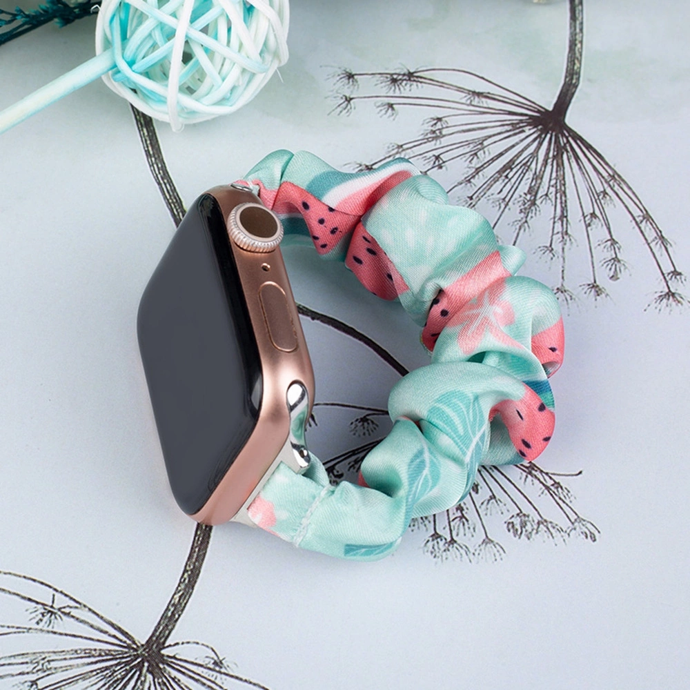 Fabric band for Apple Watch 42 / 44 / 45 mm strap bracelet rubber band - watermeloneng