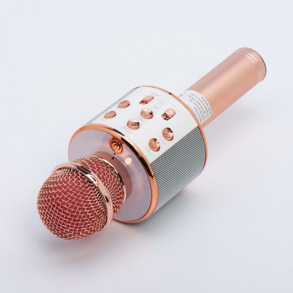 Multimedia karaoke microphone CR58 pink gold