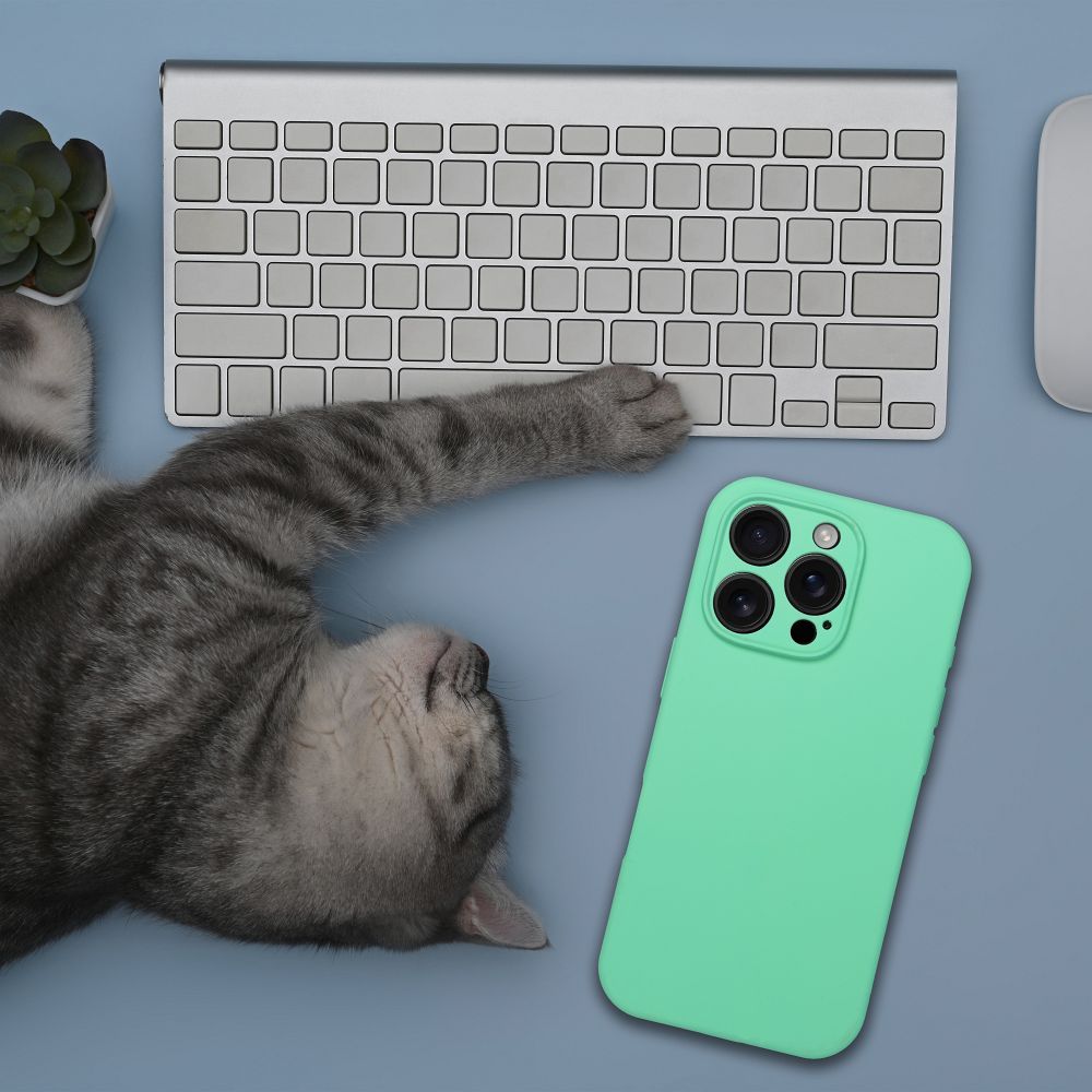 Case SILICONE 2mm for IPHONE 17 compatible with MagSafe mint