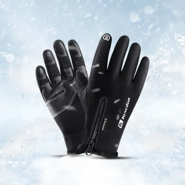 Winter phone sports gloves (size L) - blackeng
