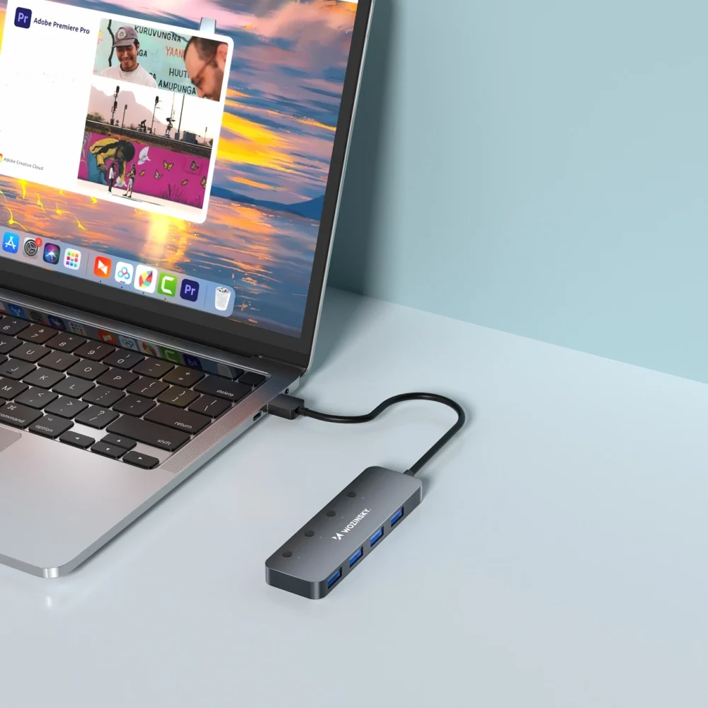 USB-A Hub Wozinsky WHS080YSS 4 x USB-A 3.0 with individual switches, aluminum, with 30 cm cable - grayeng