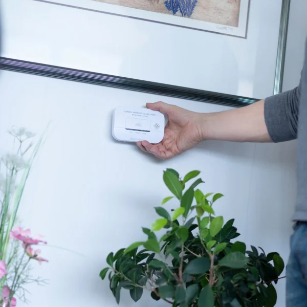 Brennenstuhl CM A 3030 carbon monoxide and gas sensor with alarm signal and LED display - whiteeng