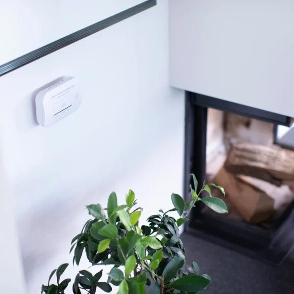 Brennenstuhl CM A 3030 carbon monoxide and gas sensor with alarm signal and LED display - whiteeng