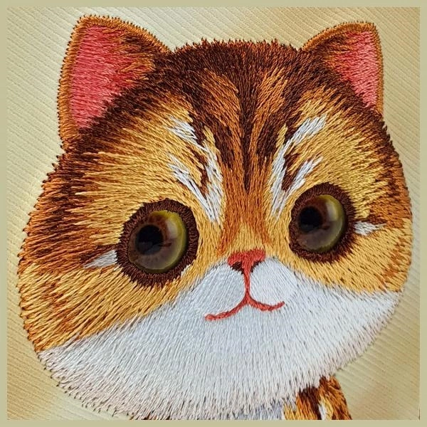 Nimmy Big Eyed Pet 2.0 Cat Case for iPhone 15 Pro Max - Greeneng