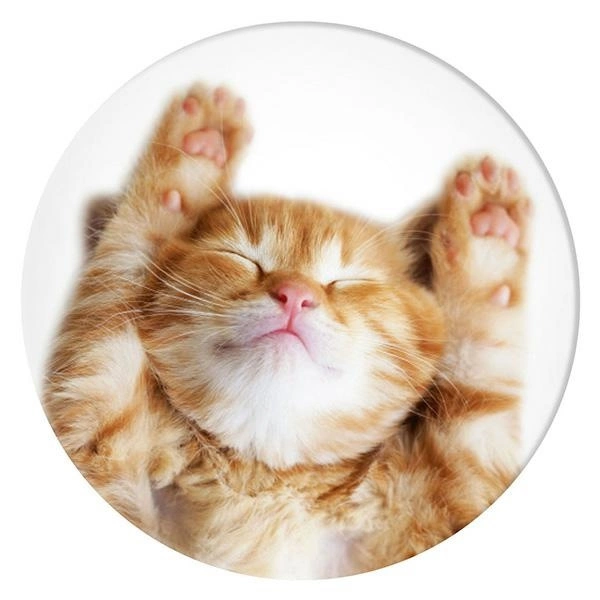 Popsockets 2 Snoozy Cat Holder and Phone Standeng