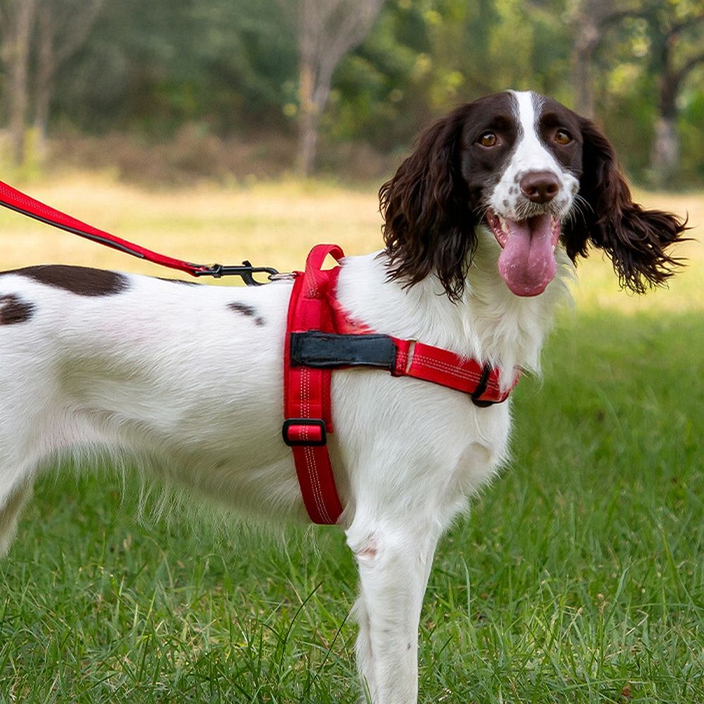 Dog harness REFLECTIVE SILK size XL red