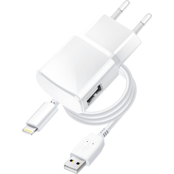 BLUE STAR travel charger 1A 5W USB A + cable USB A to Lightning TFK-TC-1100B white