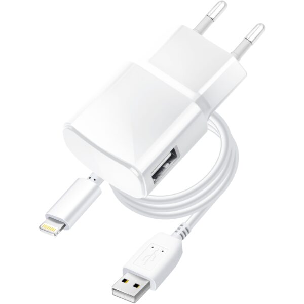 BLUE STAR travel charger 1A 5W USB A + cable USB A to Lightning TFK-TC-1100B white