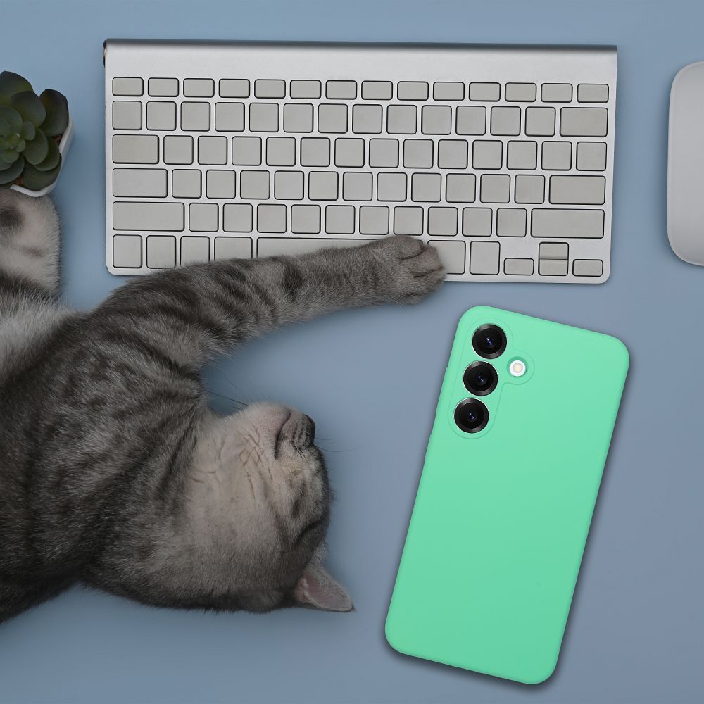 Case SILICONE 2mm for HONOR 400 Pro mint