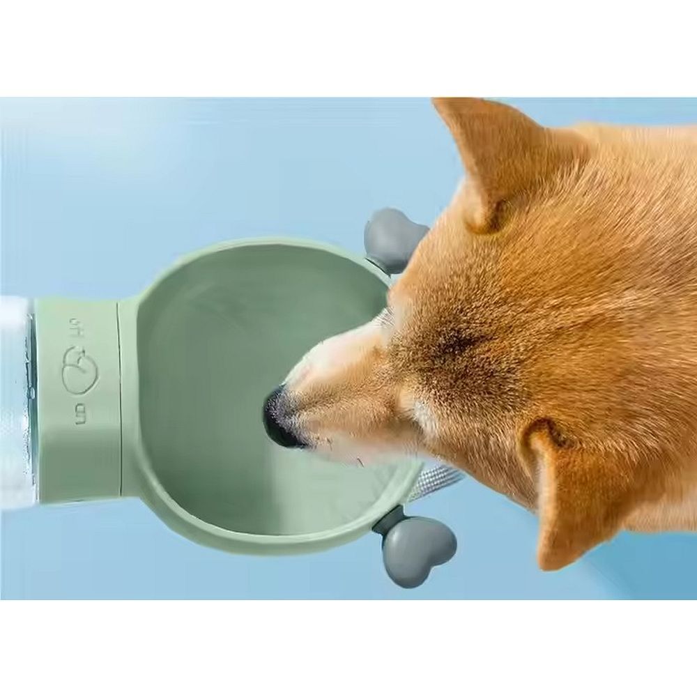 b59921ae2c3c7b17195d11608cfa2511 Dog outdoor drinking cup green