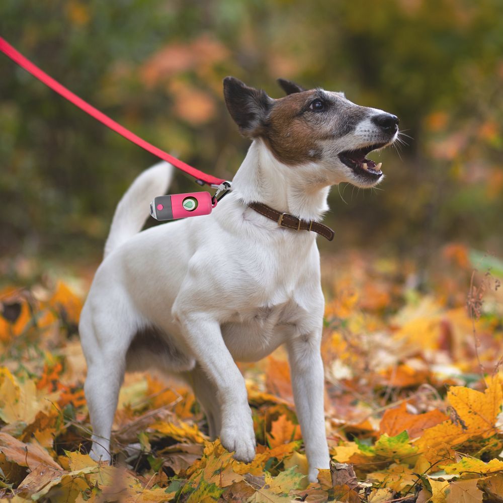 Dog excrement bag dispenser with carabiner and flashlight LLFG24033 blue