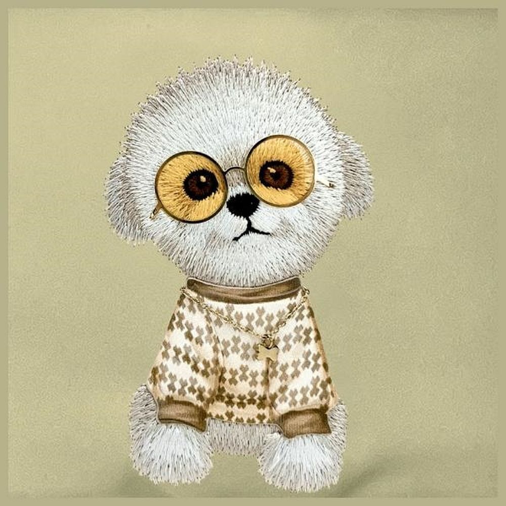 fb73221929b0bb87340959a40524fc9b NIMMY crossbody GLASSES COOL DOG khaki