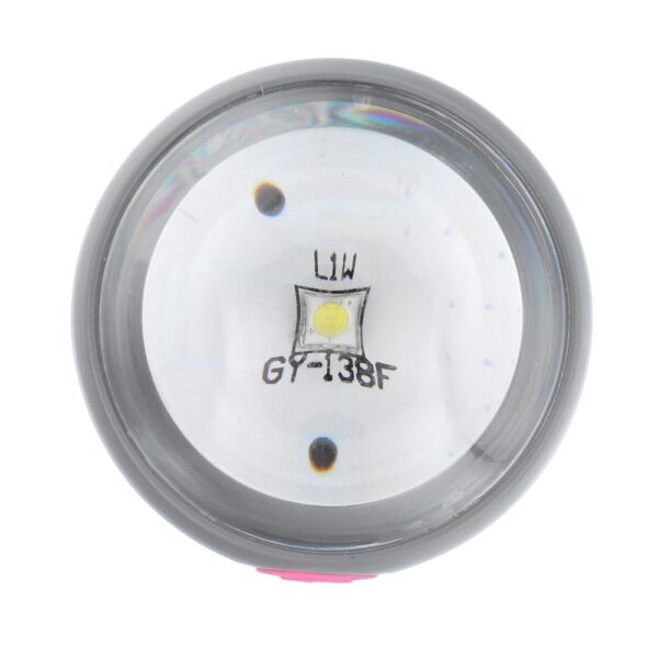 Dog excrement bag dispenser with carabiner and flashlight LLFG24033 blue