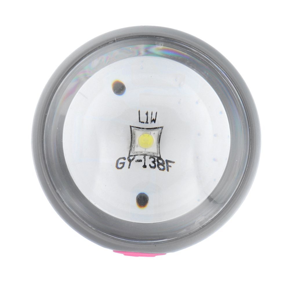 Dog excrement bag dispenser with carabiner and flashlight LLFG24033 blue