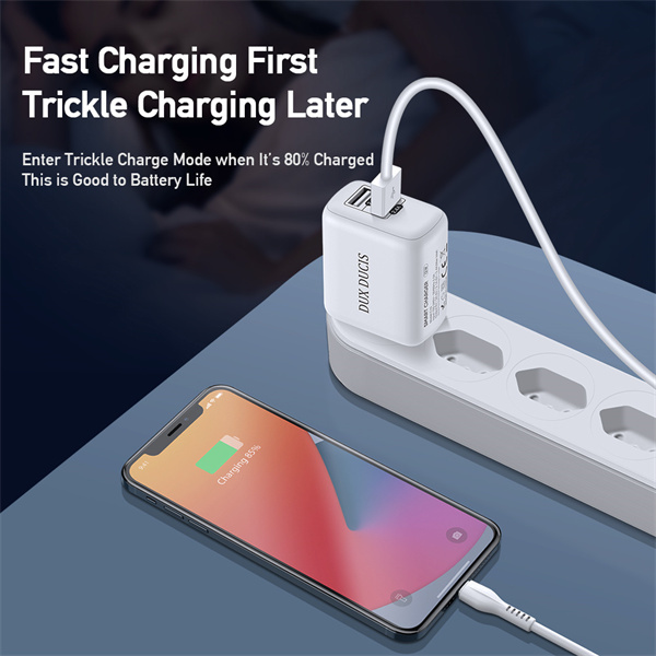 Wall charger Dux Ducis C10 - 2xUSB - 12W 2,4A white