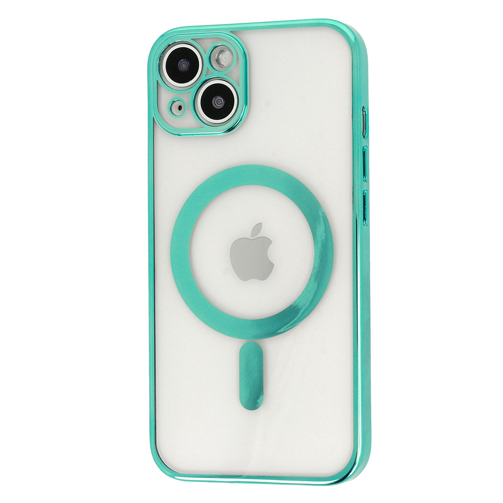 Tel Protect Magsafe Luxury Case for Iphone 11 Pro Mint