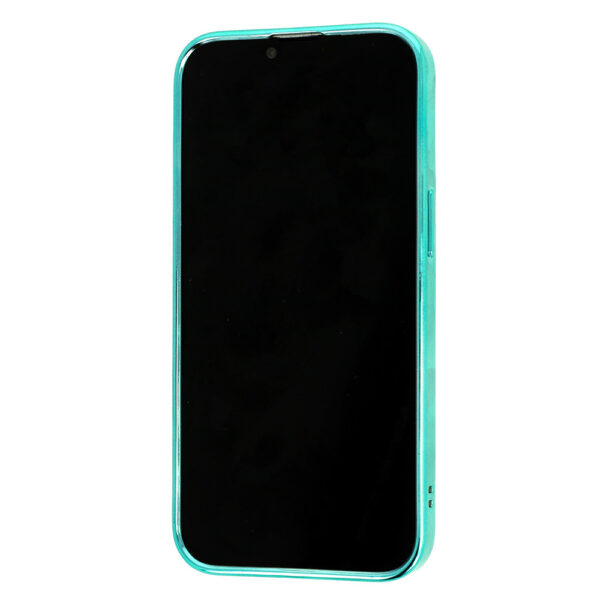 Tel Protect Magsafe Luxury Case for Iphone 11 Pro Mint