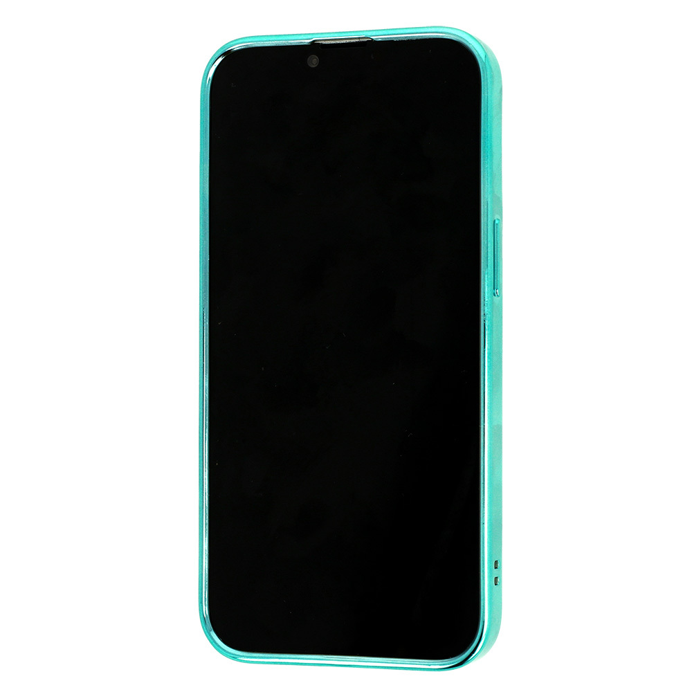 Tel Protect Magsafe Luxury Case for Iphone 11 Pro Mint