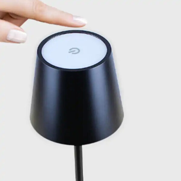 Night lamp WDL-02 wireless silver