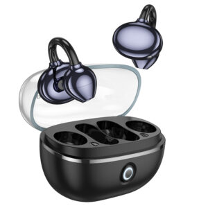 Borofone TWS Bluetooth Earphones FQ5 Spirit black