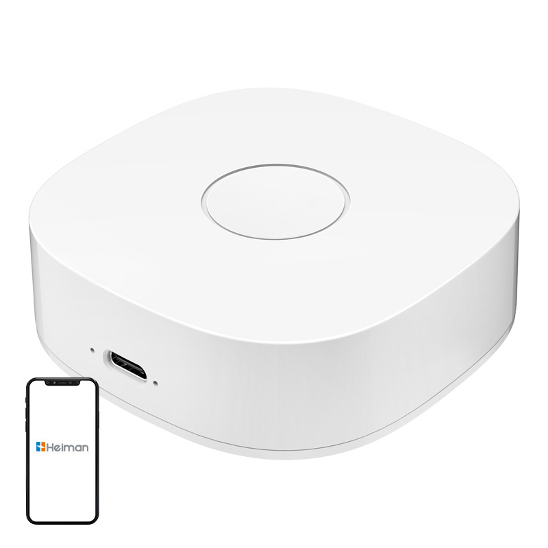 Έξυπνο σπίτι WS2GW-R WiFi