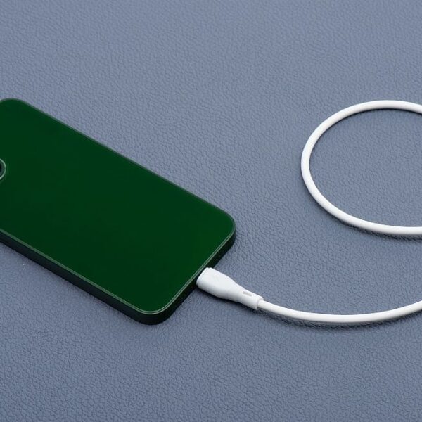 dcb80568b76c842a546b06b815bfa661 BLUE STAR ECO cable 2,4A USB A to Lightning PJ68-24-2.4 1m white