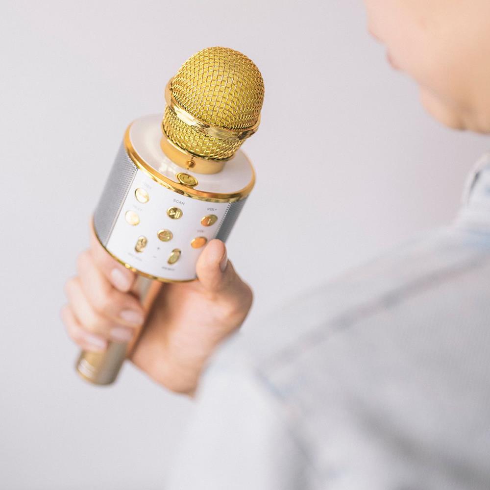 Forever Bluetooth microphone with speaker BMS-300 gold