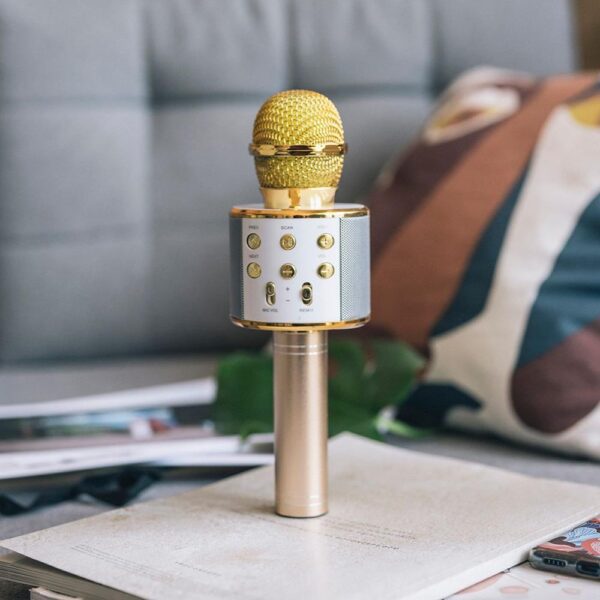 Forever Bluetooth microphone with speaker BMS-300 gold