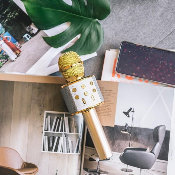 Forever Bluetooth microphone with speaker BMS-300 gold