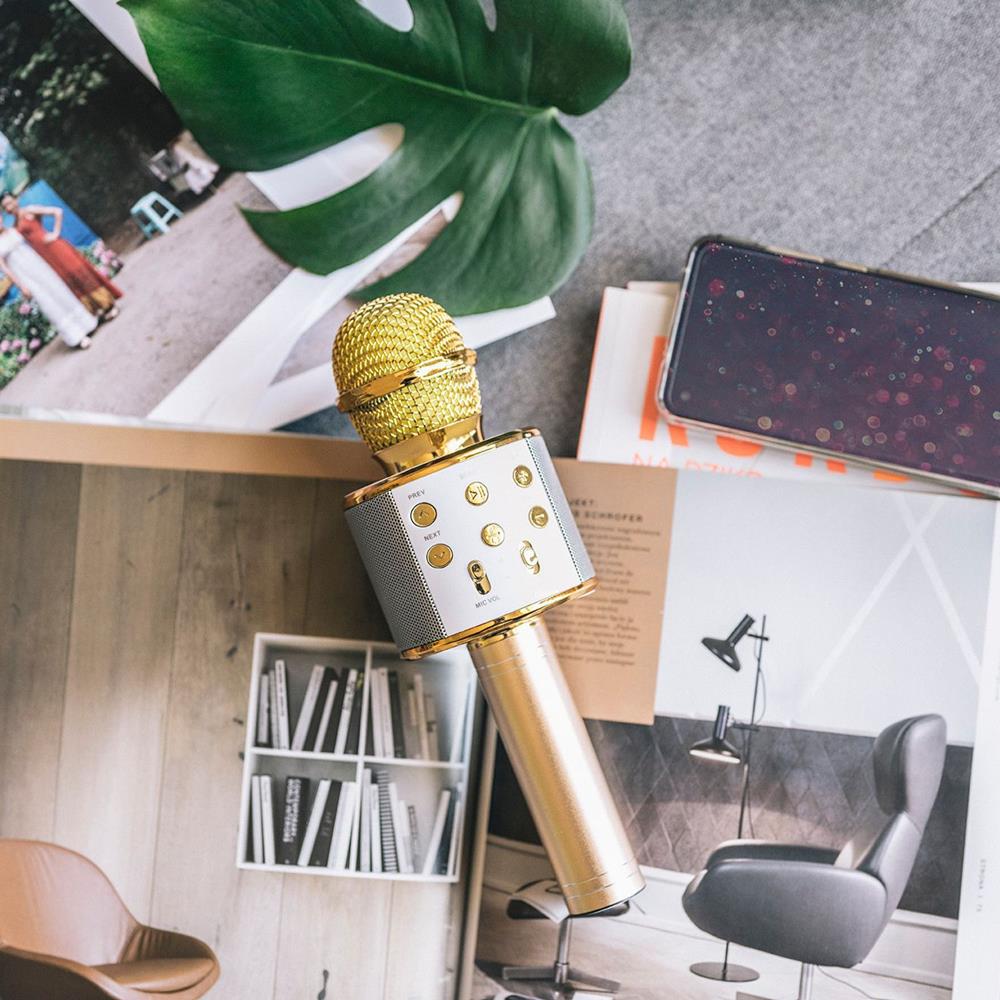 Forever Bluetooth microphone with speaker BMS-300 gold