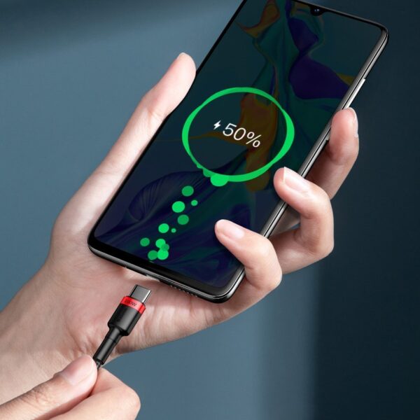 Baseus CATKLF-AL91 USB-C - USB-C PD QC cable 100W 5A 480Mb/s 2m - black and redeng