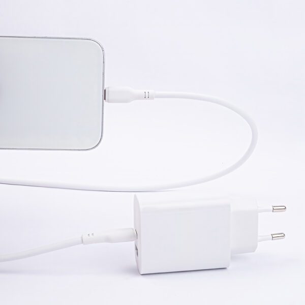 359076_oryg Maxlife MXUC-10 MFi cable USB-C - Lightning 1,0 m 27W white