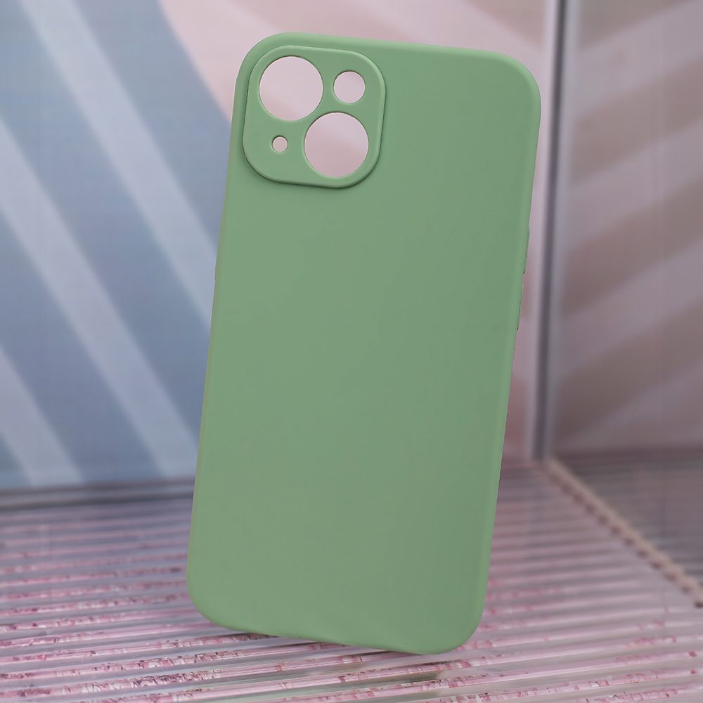 376669_oryg Mag Invisible case for iPhone 12 6,1" pistachio
