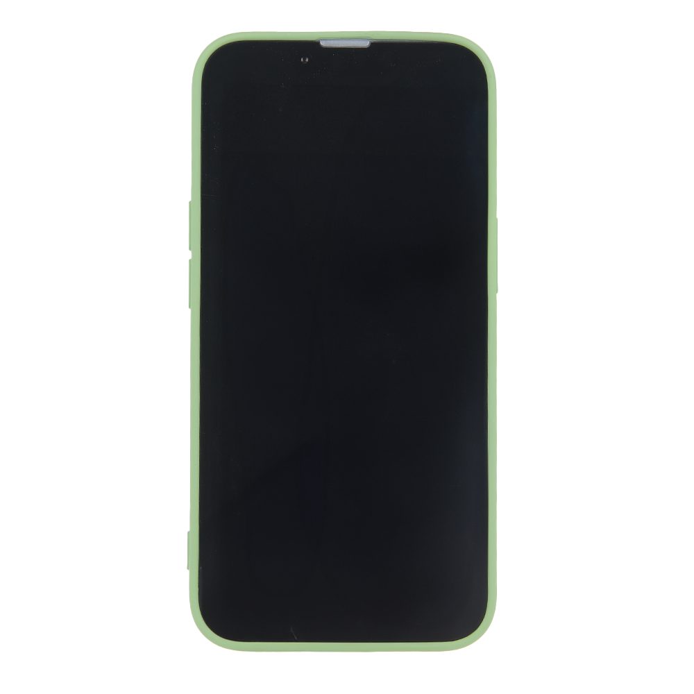 387141_oryg Simple Color Mag case for iPhone 12 Pro 6,1" light green