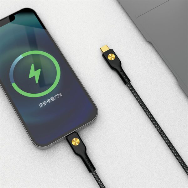 400202_oryg WIWU 30W City Cable Wi-C035 C-L black