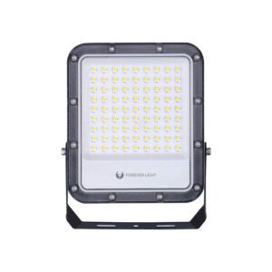 Floodlight LED PROXIM+ 50W 4000K 7500lm 230V IP65 Forever Light 150lm/W 5 years warranty