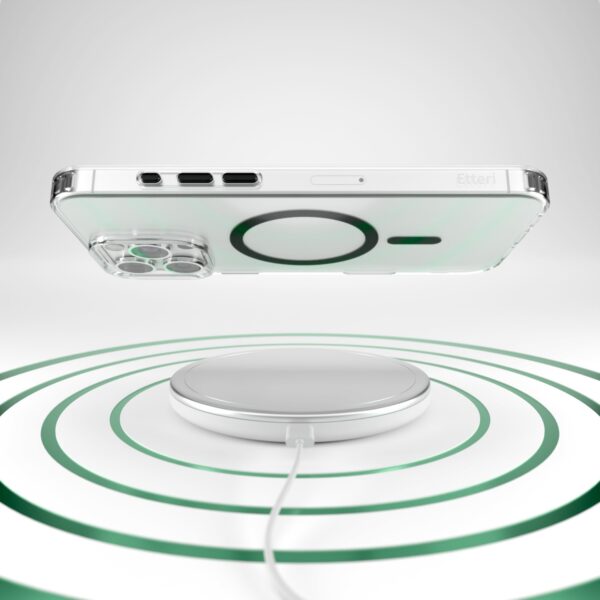 441861_oryg Etteri Color Mag case for iPhone 16 Pro 6,3" black