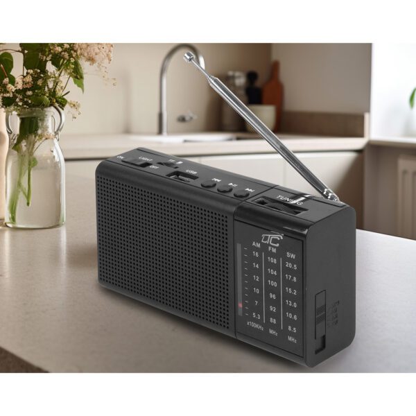 LTC portable radio REGA, USB, TF, AUX, mini LED flashlight, black