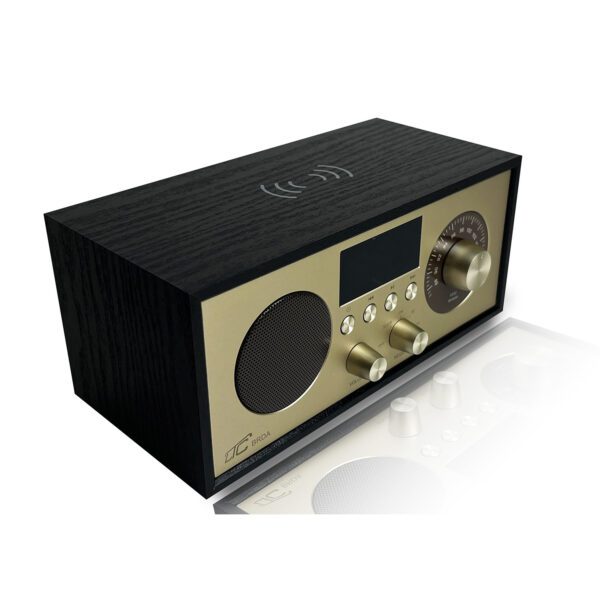 LTC portable radio BRDA, Bluetooth, FM, USB, 2200mAh, 10W wireless charging, black-gold