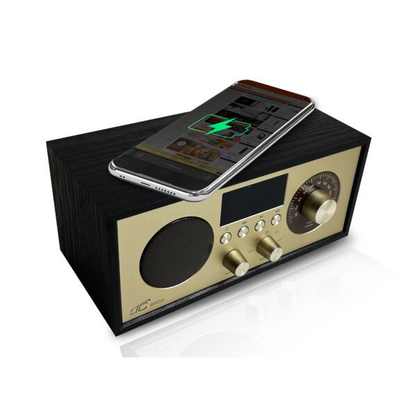 LTC portable radio BRDA, Bluetooth, FM, USB, 2200mAh, 10W wireless charging, black-gold