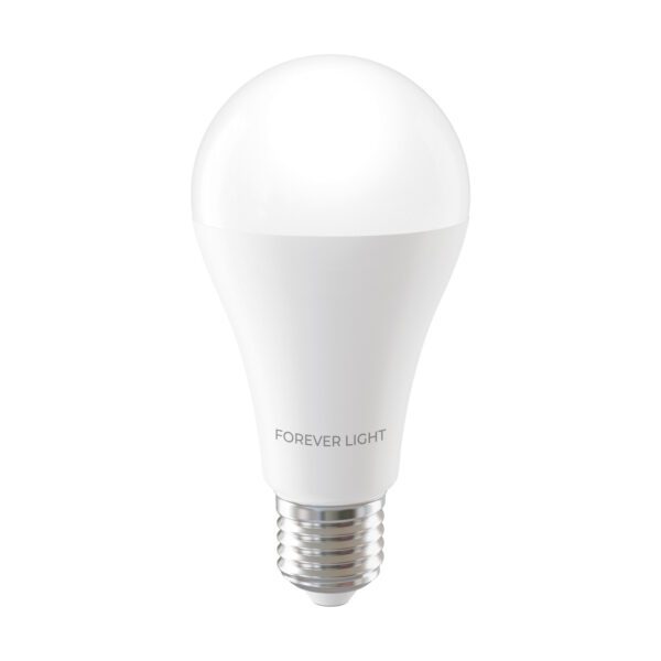 471287_oryg Forever Light LED Bulb E27 A65 17W 2100lm 3000K class E