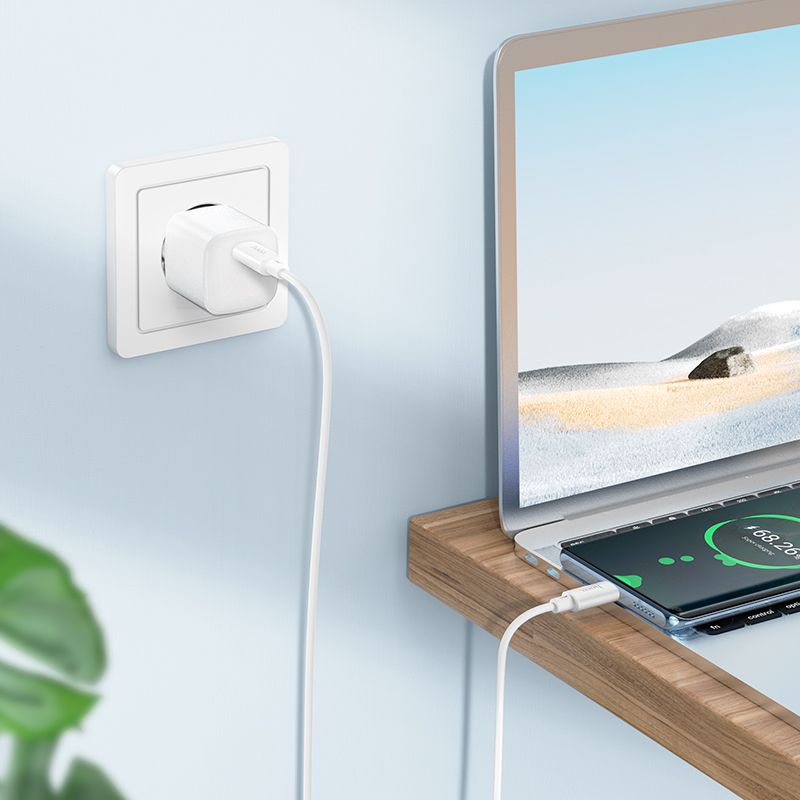 Cable USB C to USB C Hoco 3A 60W 2 m X88 white