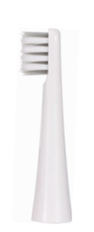 HYUNDAI OC-012B ΑΝΤΑΛΛΑΚΤΙΚΗ ΚΕΦΑΛΗ ΟΔΟΝΤΟΒΟΥΡΤΣΑΣ (2τεμ)